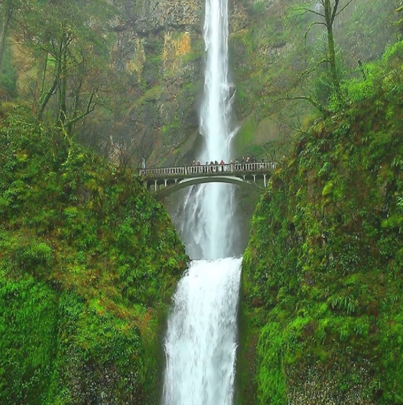 Meet your Posher, Samantha - Picture 4 of 7